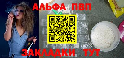 гашик Кингисепп