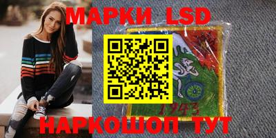 гашик Кингисепп