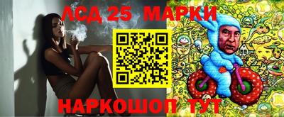 гашик Кингисепп