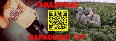 гашик Кингисепп