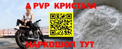 гашик Кингисепп