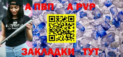 гашик Кингисепп
