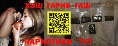 гашик Кингисепп