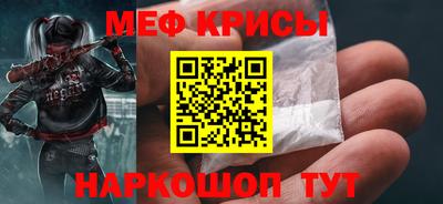 гашик Кингисепп
