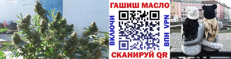 ТГК концентрат  цена   ссылка на мегу как войти  Балашов 