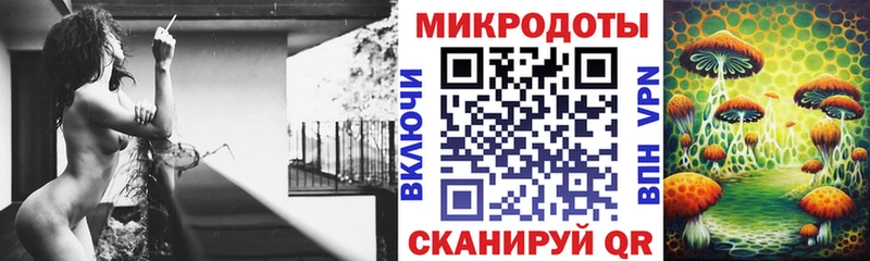 Галлюциногенные грибы Psilocybe  где купить наркоту  нарко площадка телеграм  Балашов 