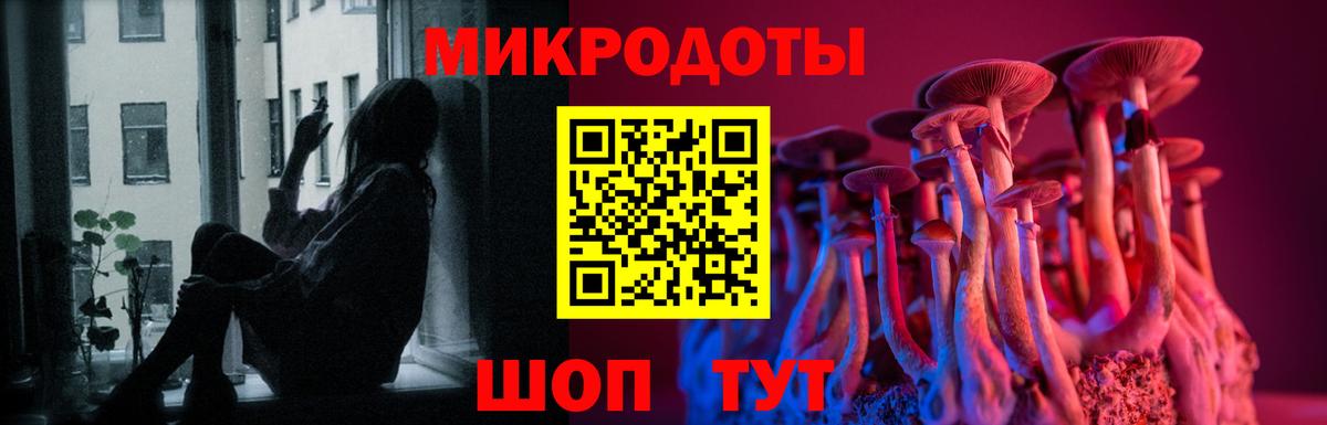 цена наркотик  Вход с VPN  Балашов  Псилоцибиновые грибы Psilocybine cubensis 